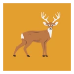 deer sounds & calls android application logo